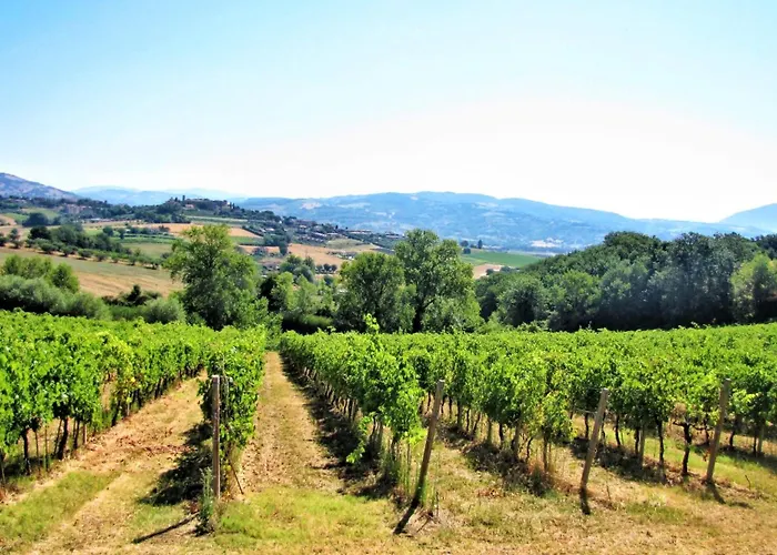 Lejlighed La Casa Del Belvedere *